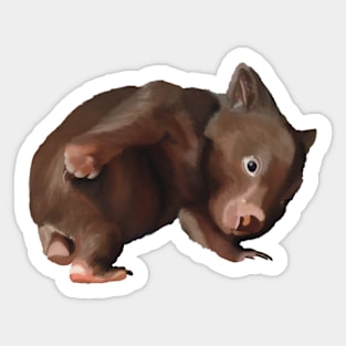 Baby Wombat illustration, joey wombat art, realistic australian wombat artwork. Australian theme decor Sticker